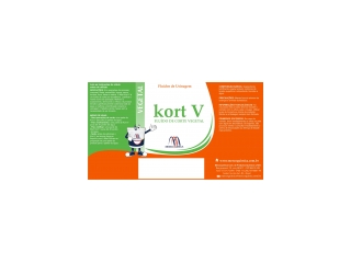 KORT V - Fluido de corte Vegetal